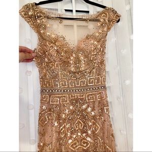 Gorgeous Terani Couture Formal Dress